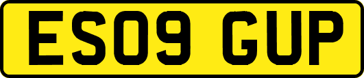 ES09GUP