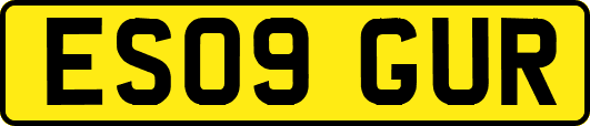 ES09GUR