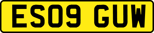 ES09GUW