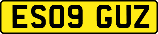 ES09GUZ