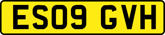 ES09GVH