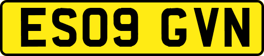 ES09GVN