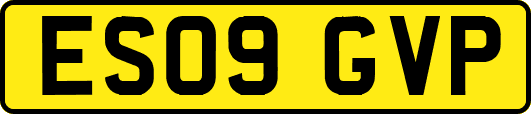 ES09GVP