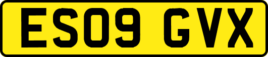 ES09GVX