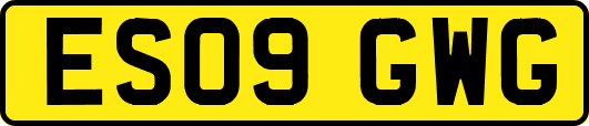 ES09GWG