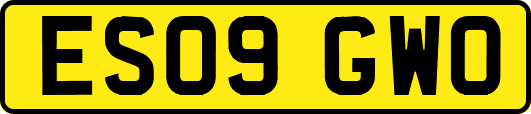 ES09GWO