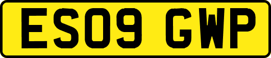 ES09GWP