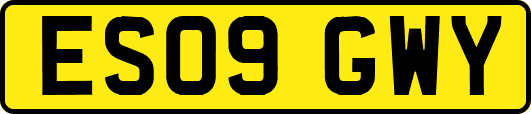 ES09GWY