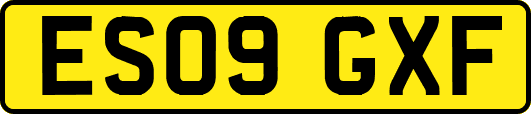 ES09GXF
