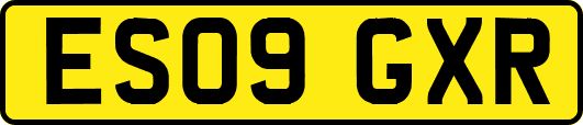 ES09GXR