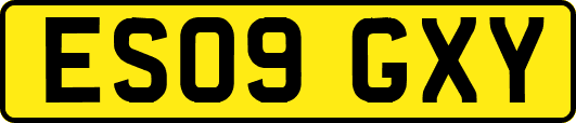 ES09GXY