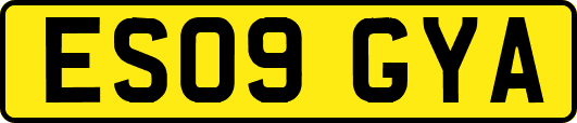 ES09GYA