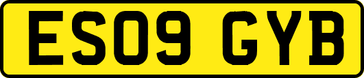 ES09GYB