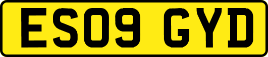 ES09GYD