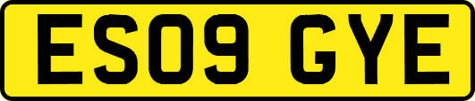 ES09GYE