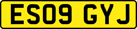 ES09GYJ