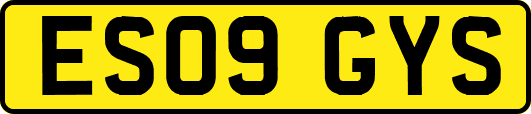 ES09GYS