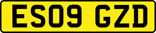 ES09GZD