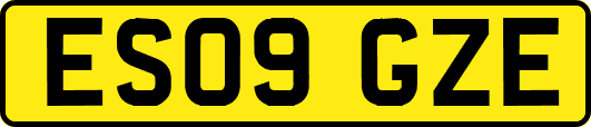 ES09GZE