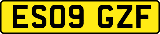 ES09GZF
