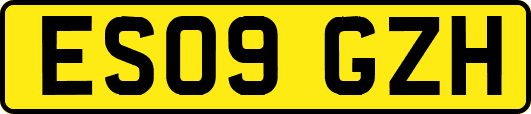 ES09GZH