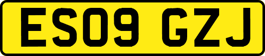 ES09GZJ