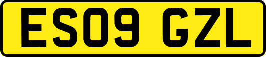 ES09GZL