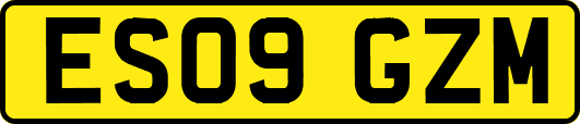ES09GZM