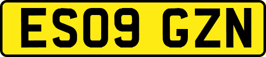 ES09GZN