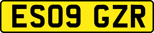ES09GZR