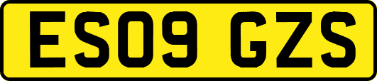 ES09GZS