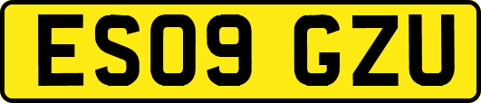 ES09GZU