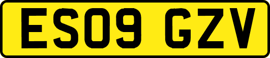 ES09GZV