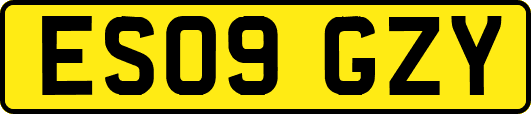 ES09GZY