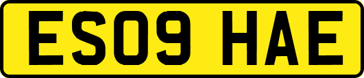 ES09HAE