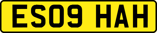 ES09HAH