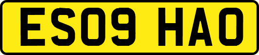 ES09HAO