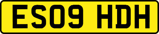 ES09HDH