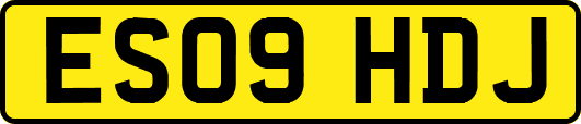 ES09HDJ
