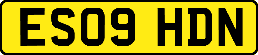 ES09HDN