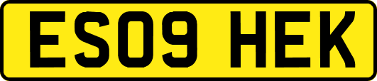 ES09HEK