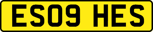 ES09HES