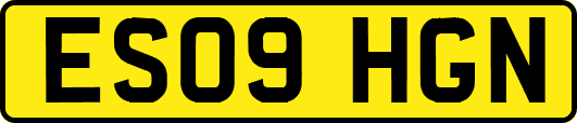 ES09HGN