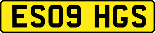ES09HGS