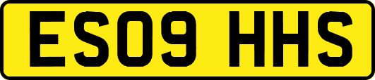ES09HHS