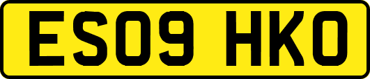ES09HKO