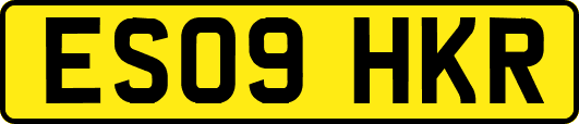 ES09HKR
