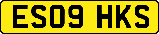 ES09HKS