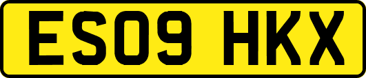 ES09HKX