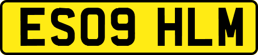 ES09HLM